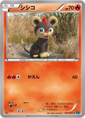 Litleo, Pokémon card XY2 014 — Wild Blaze set