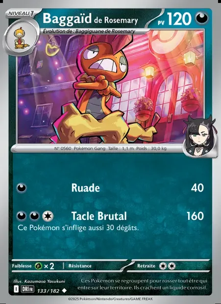 Baggaïd de Rosemary, carte Pokémon DRI 133 — extension Rivalités Destinées
