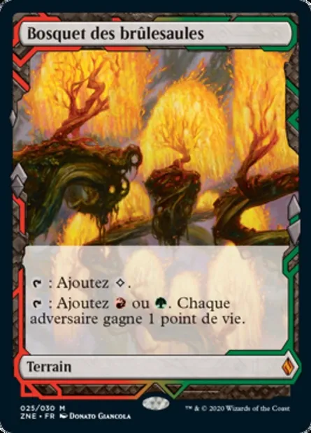 Bosquet des brûlesaules, carte Magic ZNE 25 — extension Zendikar Rising Expeditions