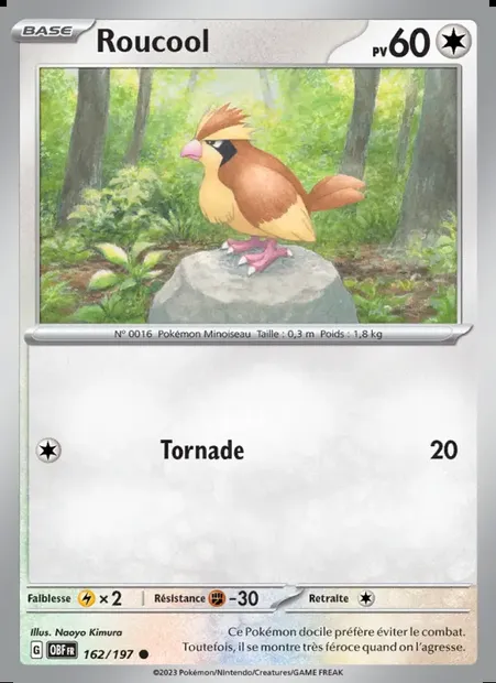 Roucool, carte Pokémon OBF 162 — extension Flammes Obsidiennes