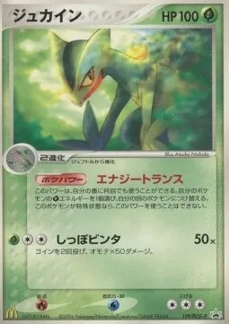 Jungko, carte Pokémon PCG-P 119 — extension PCG Promos