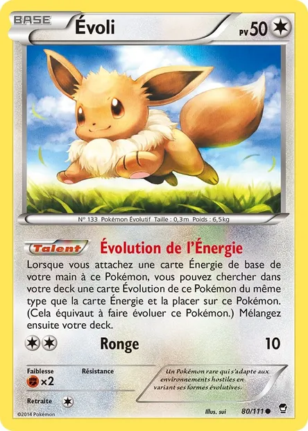 Évoli, carte Pokémon FFI 80 — extension Poings Furieux