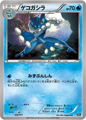 Frogadier, Pokémon card XY 025 — The Best of XY set