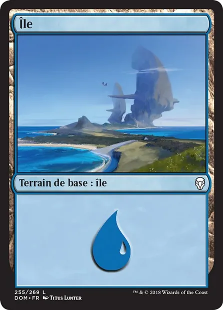Île, carte Magic DOM 255 — extension Dominaria
