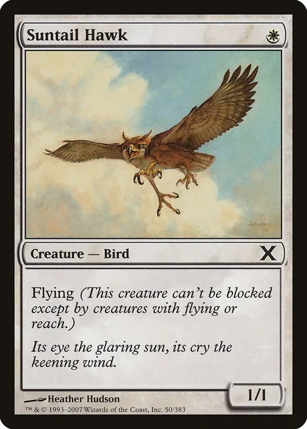 Suntail Hawk, Magic card 10E 50 — Tenth Edition set