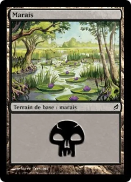 Marais, carte Magic LRW 293 — extension Lorwyn