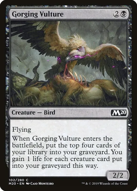 Gorging Vulture, Magic card M20 102 — Core Set 2020 set