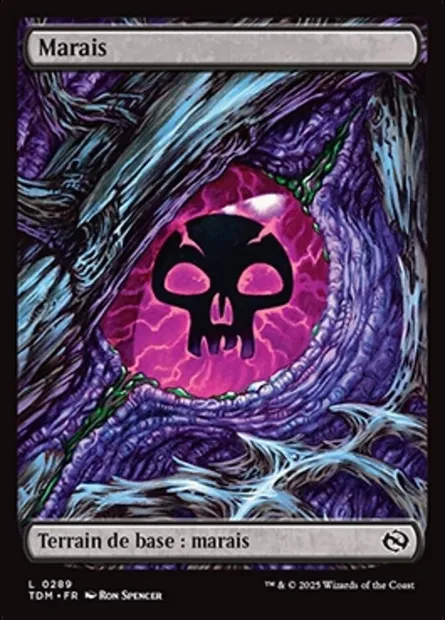 Marais, carte Magic TDM 289 — extension Tarkir: Dragonstorm