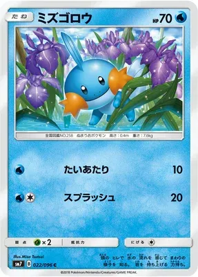 Mudkip, Pokémon card SM7 022 — Sky-Splitting Charisma set