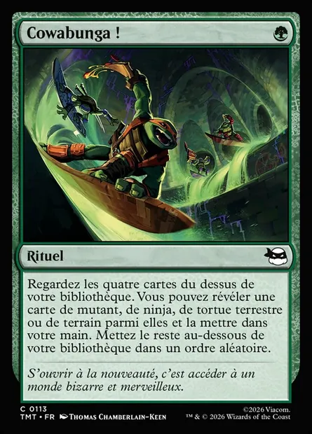 Cowabunga !, carte Magic TMT 113 — extension Teenage Mutant Ninja Turtles