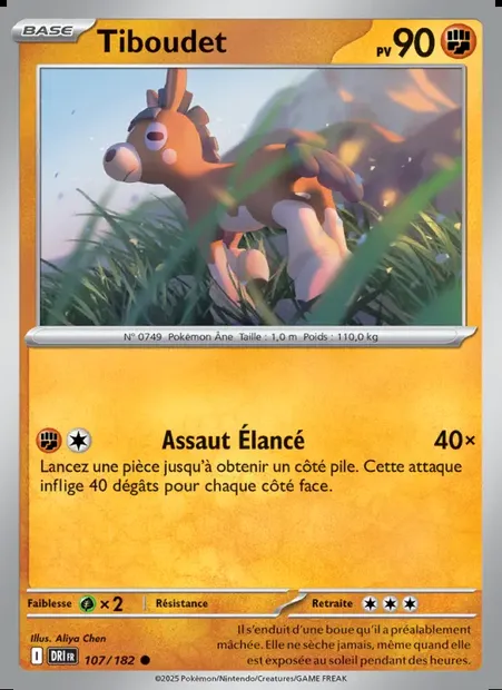 Tiboudet, carte Pokémon DRI 107 — extension Rivalités Destinées