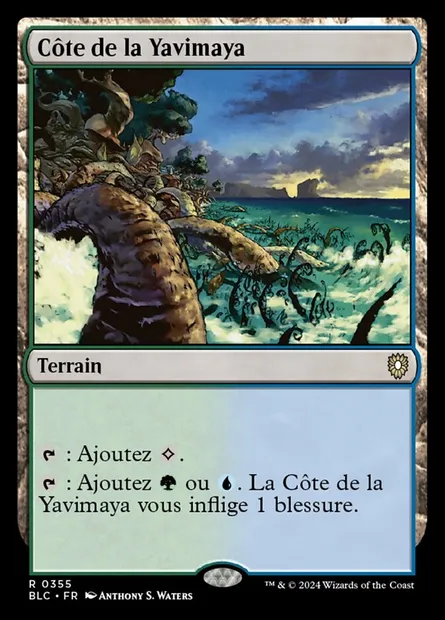 Côte de la Yavimaya, carte Magic BLC 355 — extension Bloomburrow Commander