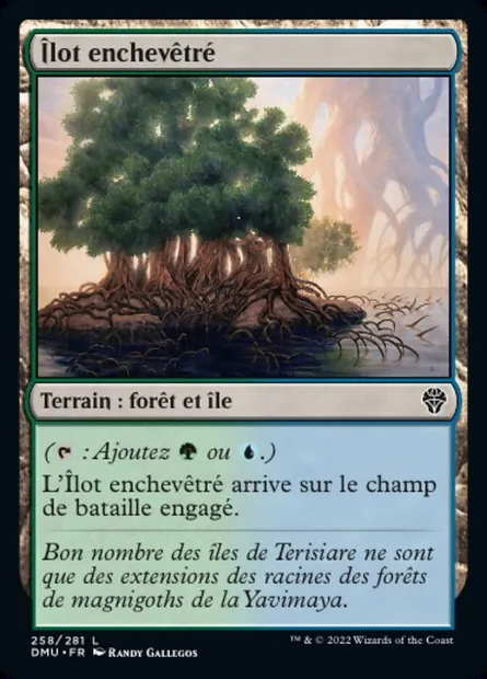 Îlot enchevêtré, carte Magic DMU 258 — extension Dominaria Uni