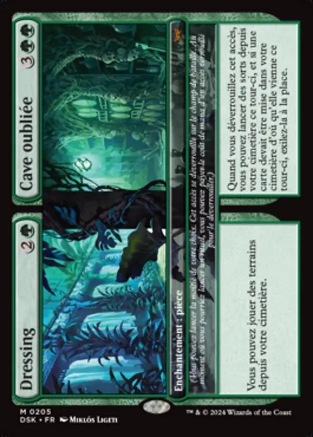 Dressing // Cave oubliée, carte Magic DSK 205 — extension Duskmourn: House of Horror