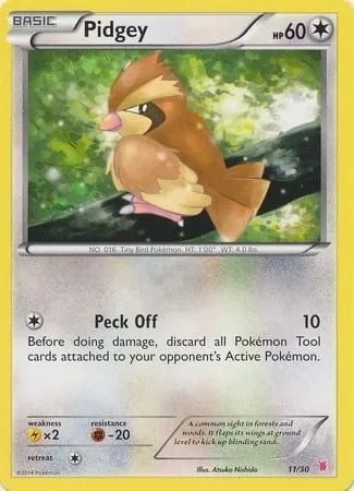 Roucool, carte Pokémon TK7B 011 — extension XY Trainer Kit: Wigglytuff