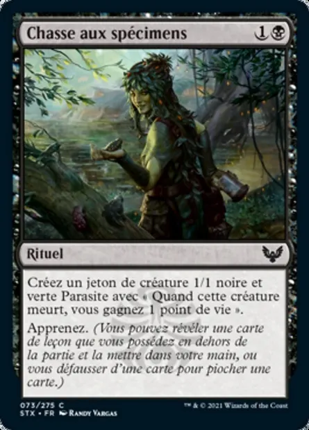 Chasse aux spécimens, carte Magic STX 73 — extension Strixhaven: l'Académie des Mages