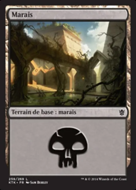 Marais, carte Magic KTK 259 — extension Les Khans de Tarkir