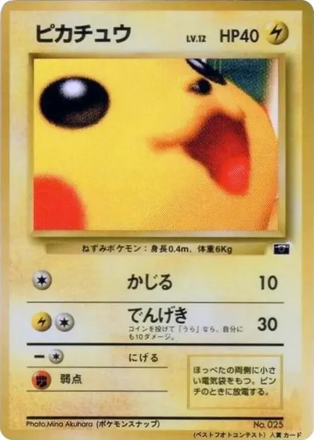 Pikachu Lv.12, carte Pokémon UNP ct247172 — extension Unnumbered Promos