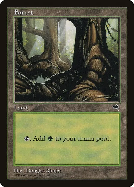 Forest, Magic card TMP 348 — Tempest set