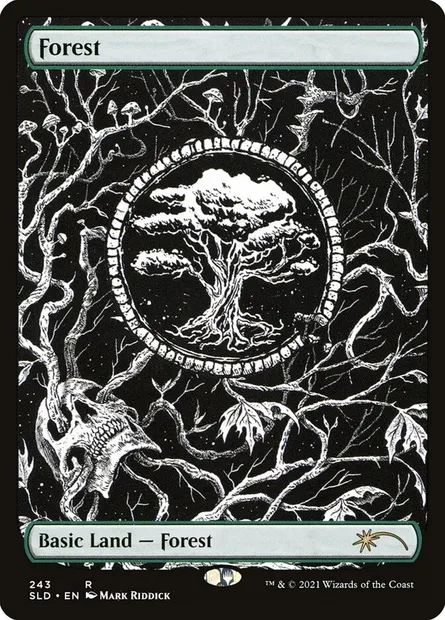 Forest, Magic card SLD 243 — Secret Lair Drop set