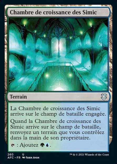 Chambre de croissance des Simic, carte Magic AFC 260 — extension Forgotten Realms Commander