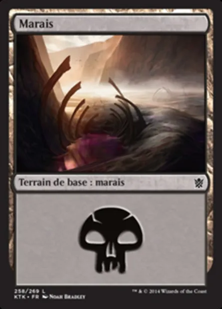 Marais, carte Magic KTK 258 — extension Les Khans de Tarkir
