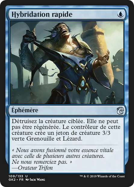 Hybridation rapide, carte Magic GK2 109 — extension RNA Guild Kit