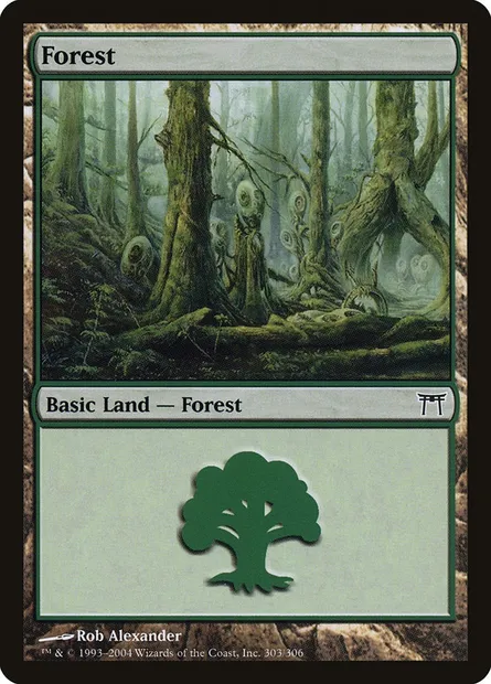 Forest, Magic card CHK 303 — Champions of Kamigawa set