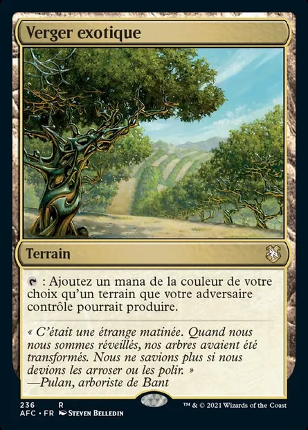 Verger exotique, carte Magic AFC 236 — extension Forgotten Realms Commander