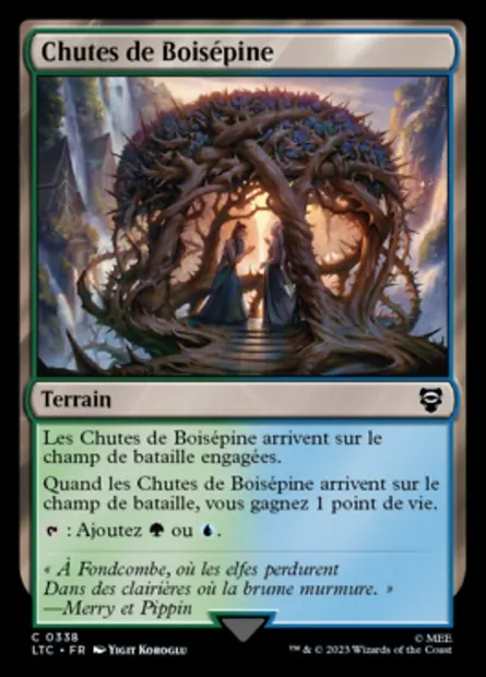 Chutes de Boisépine, carte Magic LTC 338 — extension Tales of Middle-earth Commander