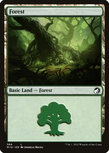 Forest, Magic card MID 384 — Innistrad: Midnight Hunt set