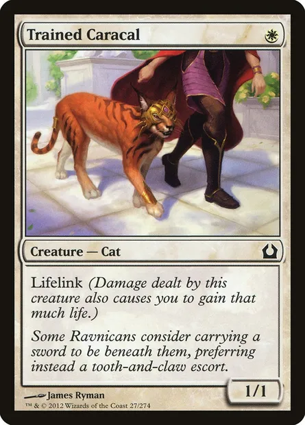 Trained Caracal, Magic card RTR 27 — Return to Ravnica set