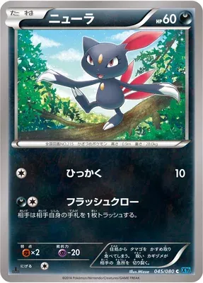 Sneasel, Pokémon card XY2 045 — Wild Blaze set