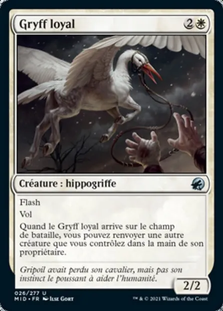 Gryff loyal, carte Magic MID 26 — extension Innistrad : chasse de minuit