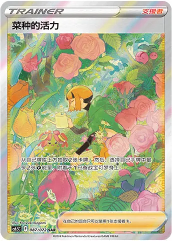 Gardenia's Vigor, Pokémon card CS6.5C 087 — Victory Star Guide set