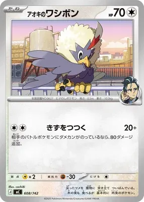 Larry's Rufflet, Pokémon card MC 608 — Start Deck 100 Battle Collection set