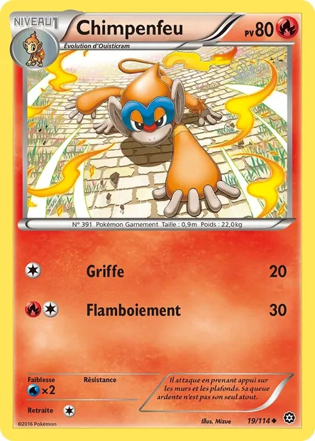 Chimpenfeu, carte Pokémon STS 19 — extension Offensive Vapeur