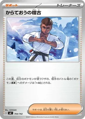 Black Belt's Training, Pokémon card MC 704 — Start Deck 100 Battle Collection set