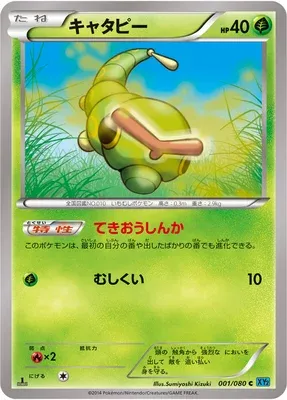 Chenipan, carte Pokémon XY2 001 — extension Wild Blaze