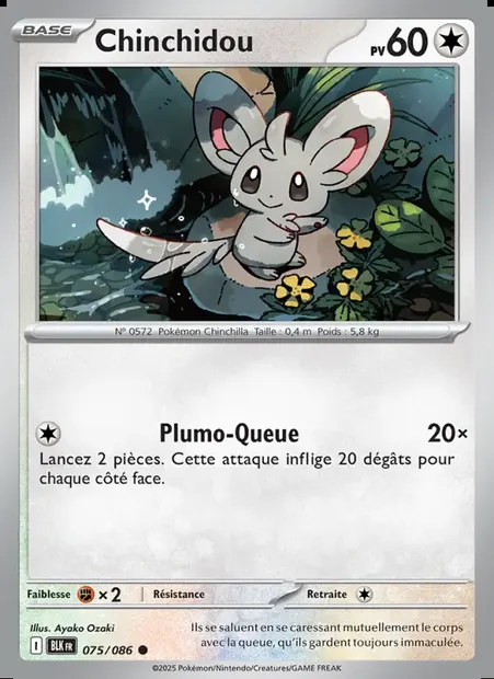 Chinchidou, carte Pokémon BLK 075 — extension Foudre Noire