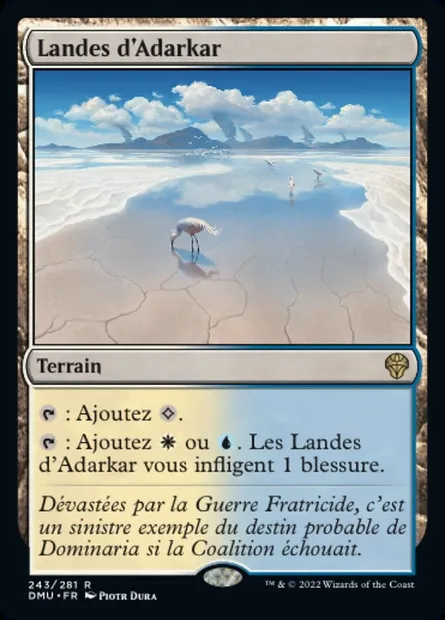 Landes d'Adarkar, carte Magic DMU 243 — extension Dominaria Uni