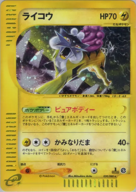 Raikou, Pokémon card E4 039 — Split Earth set