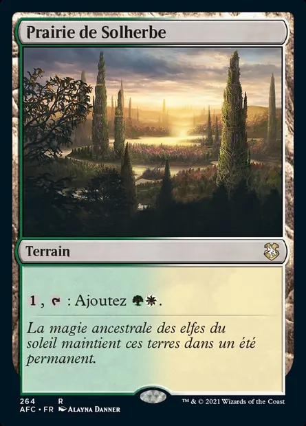 Prairie de Solherbe, carte Magic AFC 264 — extension Forgotten Realms Commander