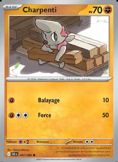 Charpenti, carte Pokémon BLK 047 — extension Foudre Noire