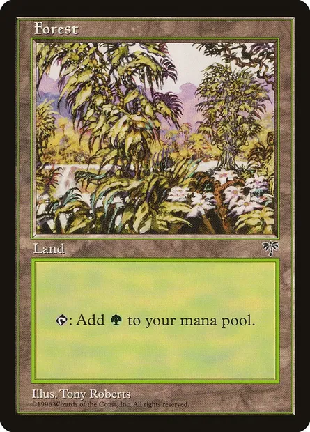 Forest, Magic card MIR 349 — Mirage set