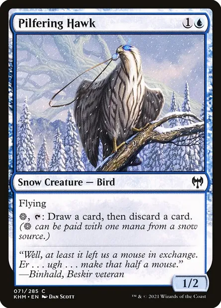 Pilfering Hawk, Magic card KHM 71 — Kaldheim set