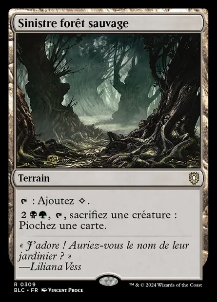 Sinistre forêt sauvage, carte Magic BLC 309 — extension Bloomburrow Commander