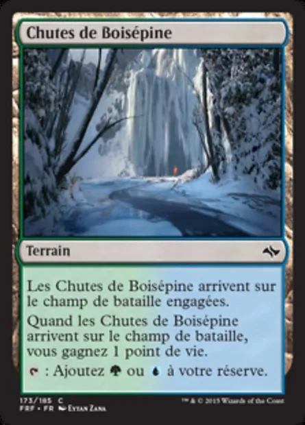 Chutes de Boisépine, carte Magic FRF 173 — extension Destin reforgé