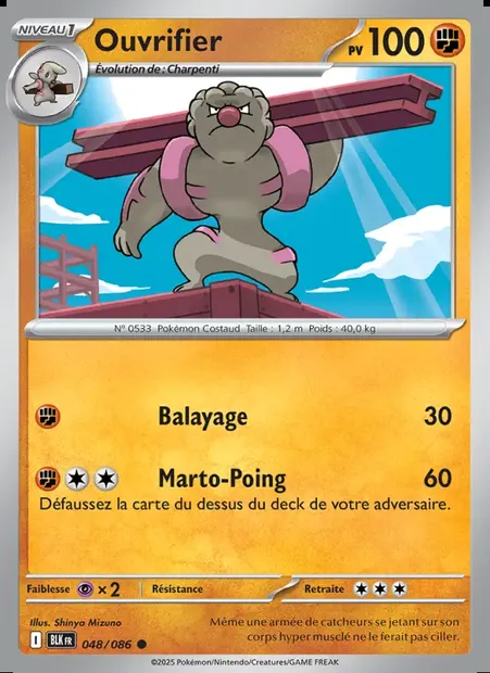 Ouvrifier, carte Pokémon BLK 048 — extension Foudre Noire