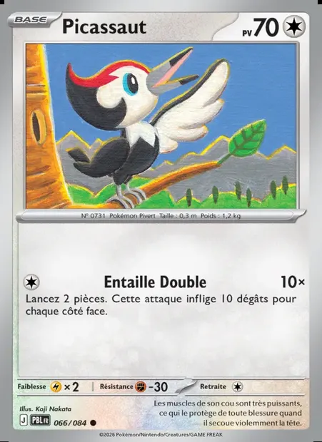 Picassaut, carte Pokémon PBL 066 — extension Nuit Noire